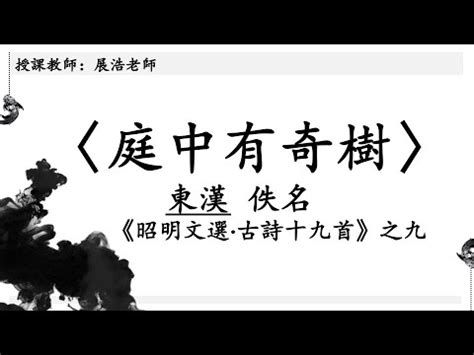 庭中有奇樹講義|〈庭中有奇樹〉講解影片